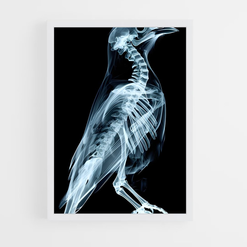 ap-x-rays-5 cadre Blanc