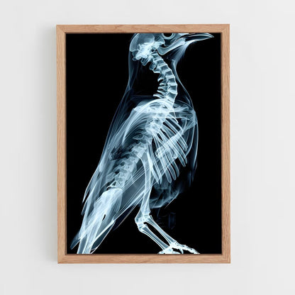 ap-x-rays-5 cadre Bois clair