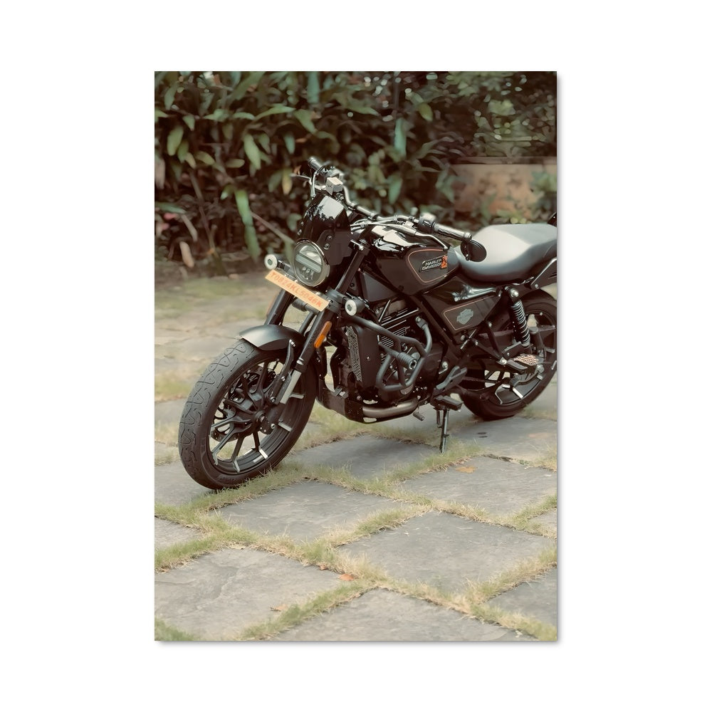 Poster Roadster en Liberté