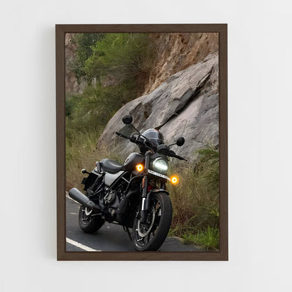 ap-x440-6 cadre Bois foncé