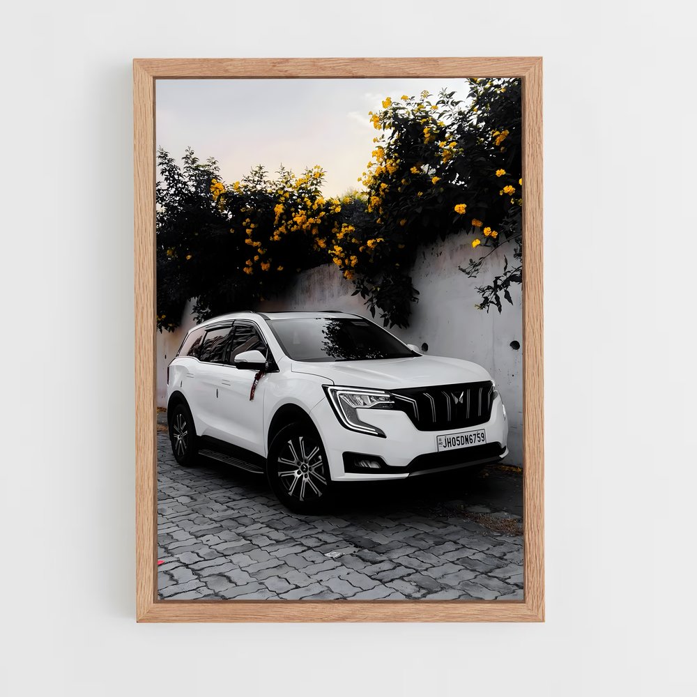 ap-xuv700-1 cadre Bois clair