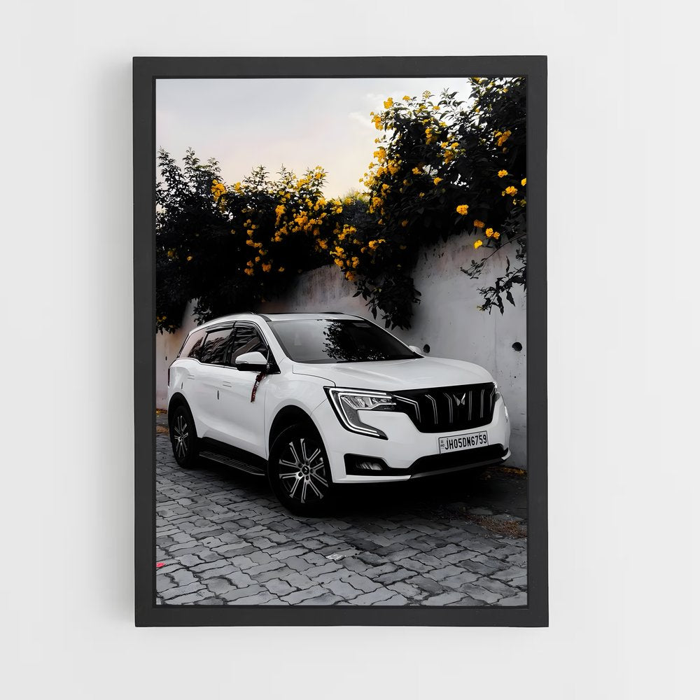 ap-xuv700-1 cadre Noir