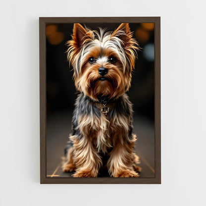 ap-yorkshire terrier-3 cadre Bois foncé