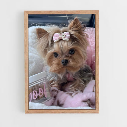 ap-yorkshire terrier-4 cadre Bois clair