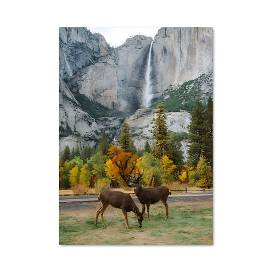 Poster Élan des Cascades