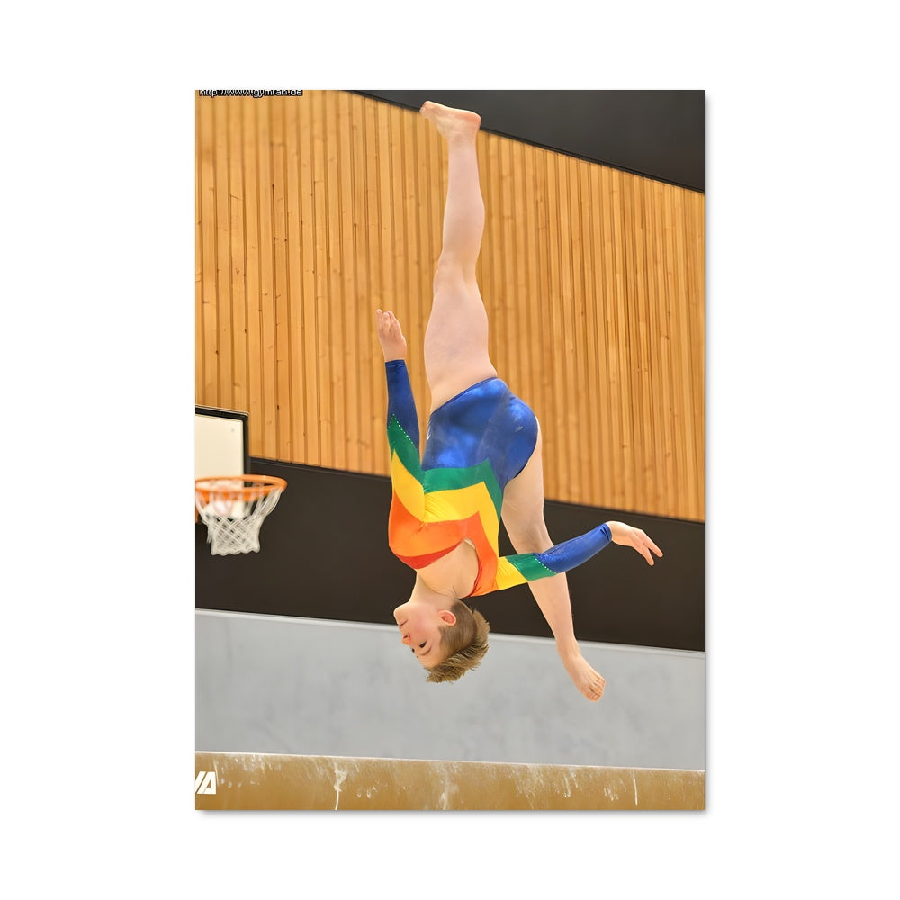 Poster Youth olympics gymnastics 66716