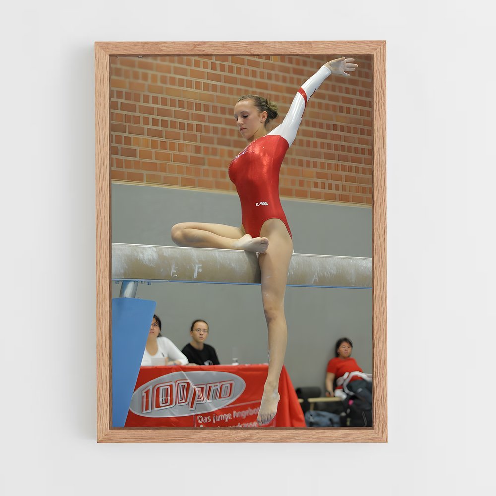 ap-youth olympics gymnastics-1 cadre Bois clair