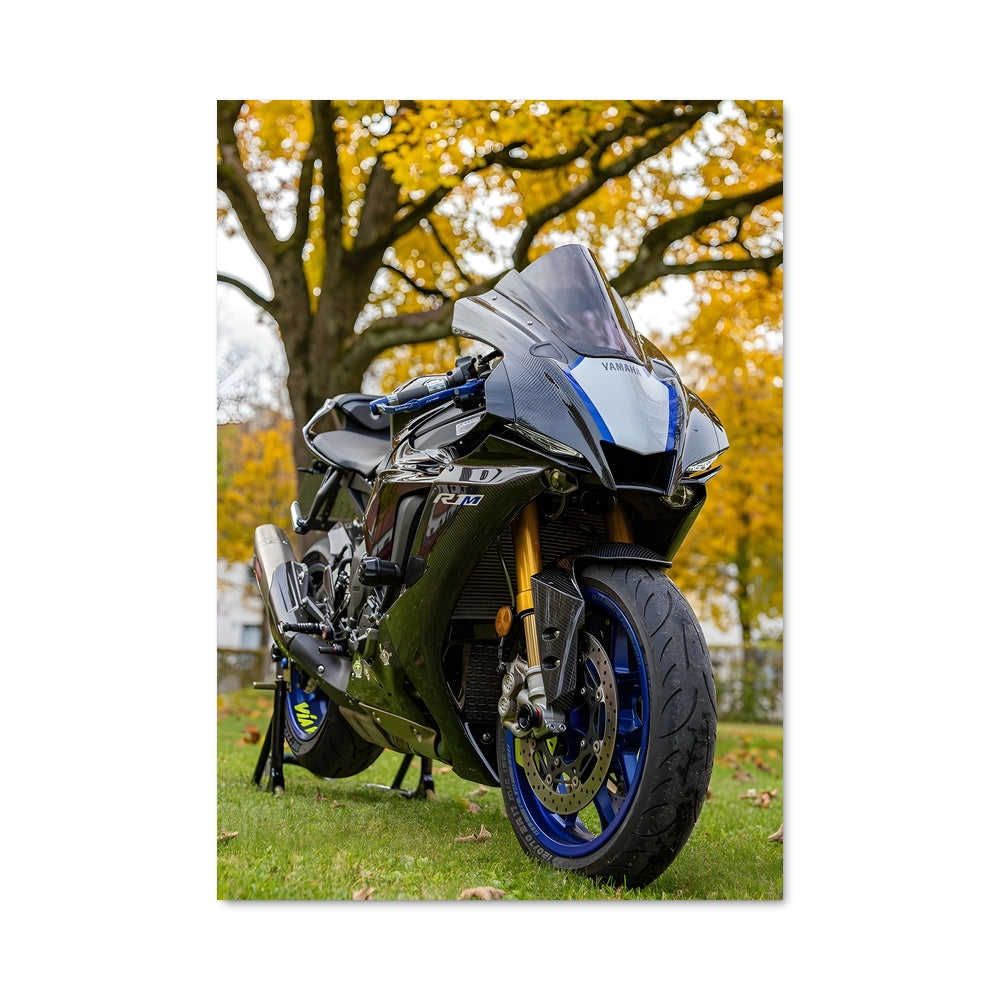 Poster Vitesse Naturelle