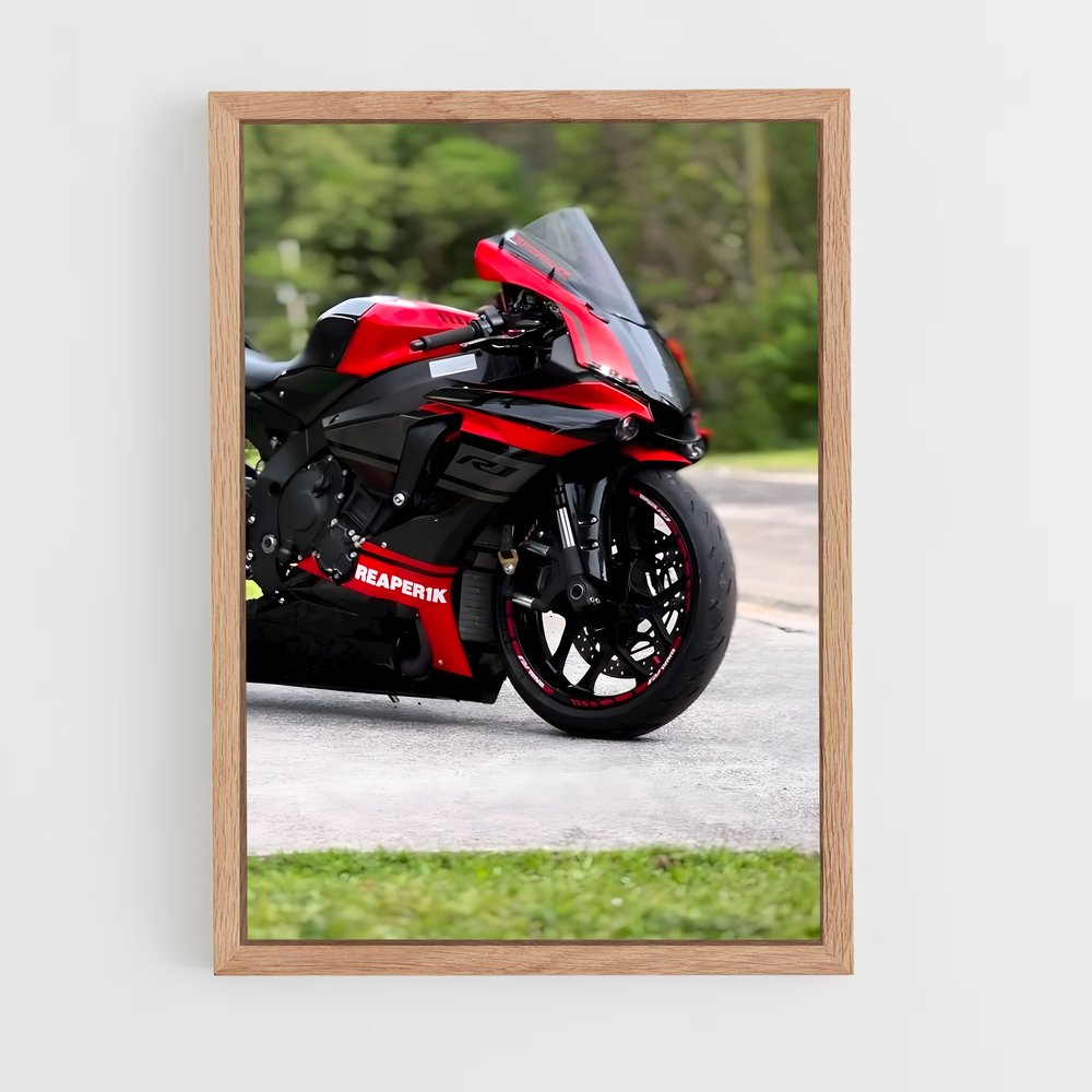 ap-yzf-r1m-3 cadre Bois clair