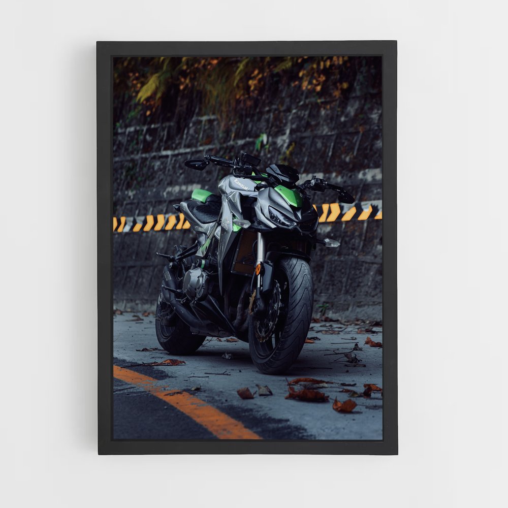 ap-z1000-2 cadre Noir