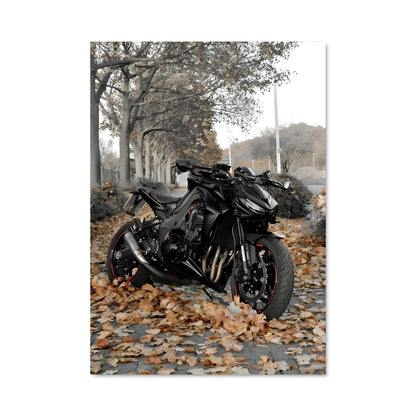 Poster Z1000 82454