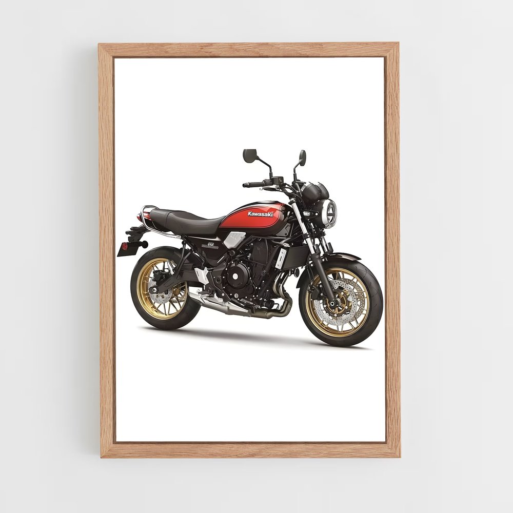 ap-z650rs-1 cadre Bois clair