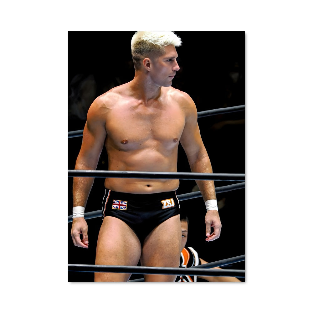Poster The Wrestling Spirit