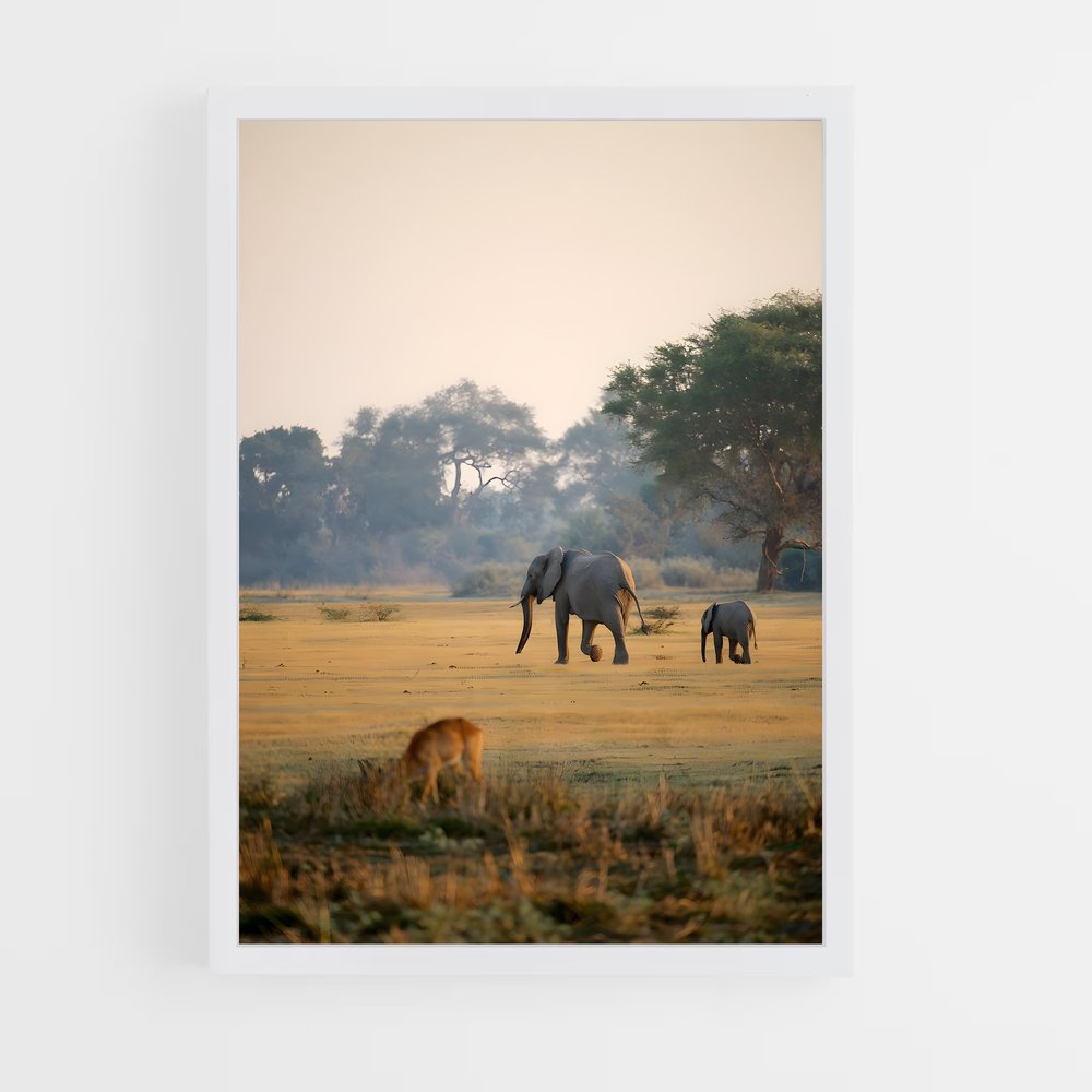 ap-zambia-8 cadre Blanc