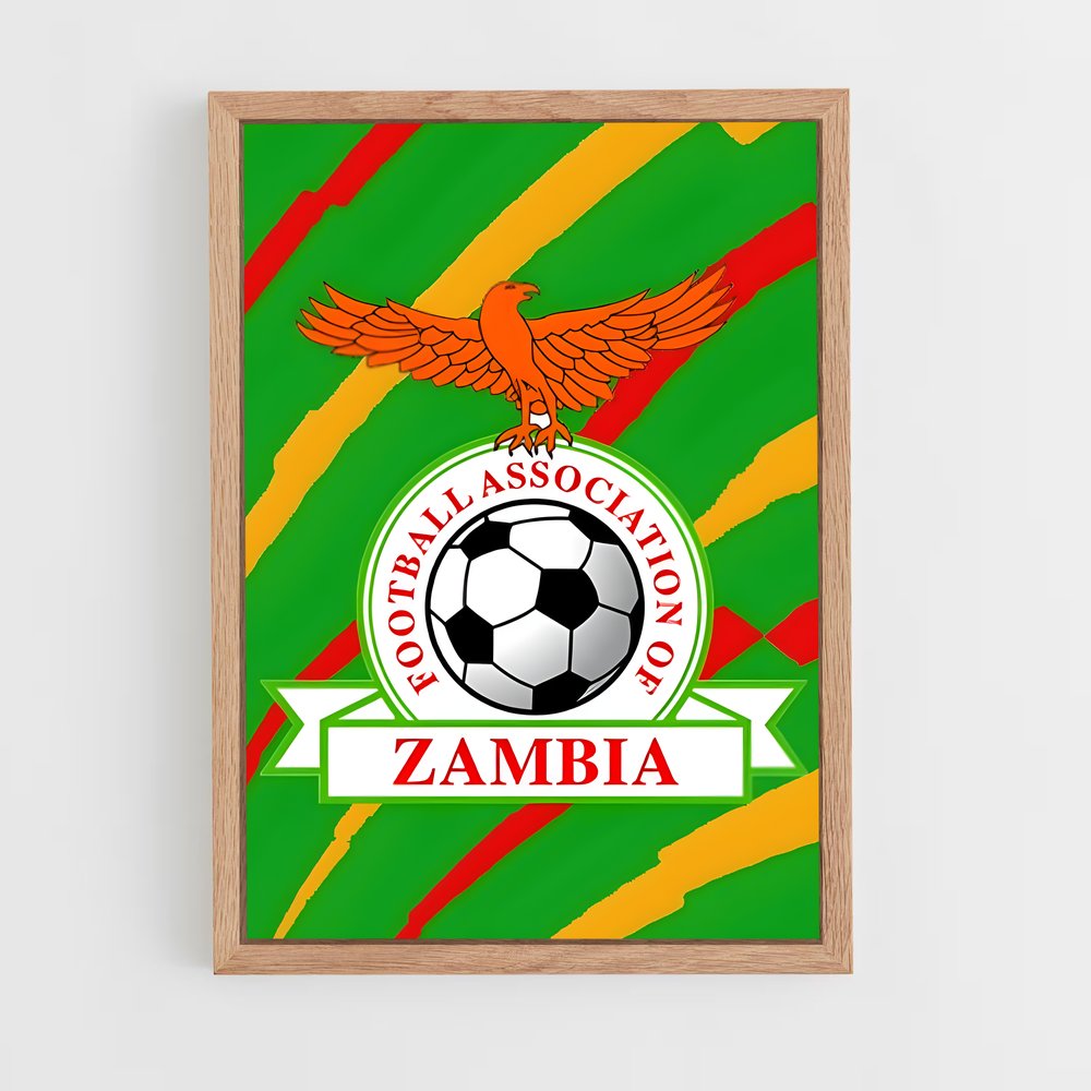 ap-zambia national football team-1 cadre Bois clair