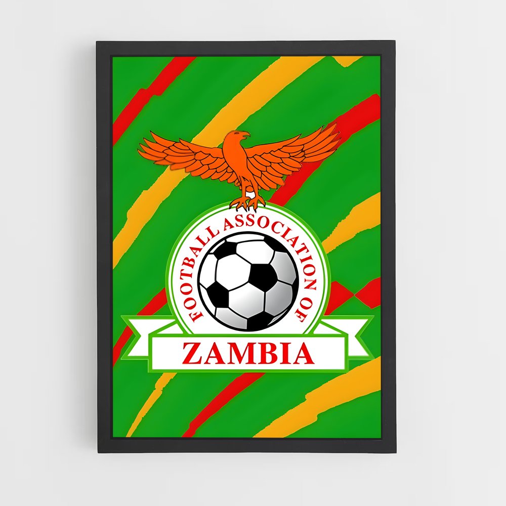 ap-zambia national football team-1 cadre Noir