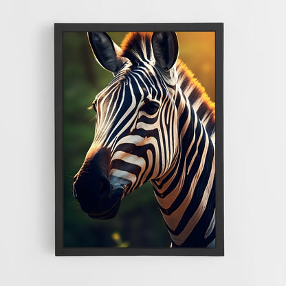 ap-zebra-1 cadre Noir