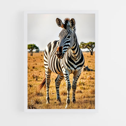 ap-zebra-3 cadre Blanc