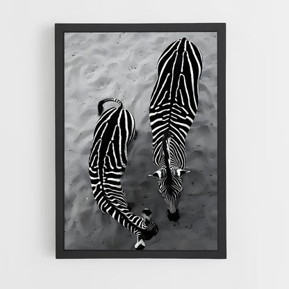 ap-zebra-4 cadre Noir