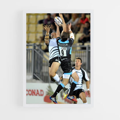 ap-zebre-2 cadre Blanc