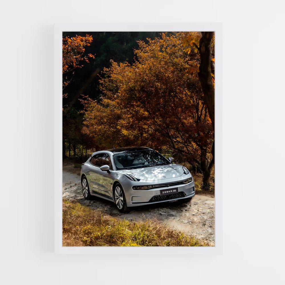 ap-zeekr 001-4 cadre Blanc