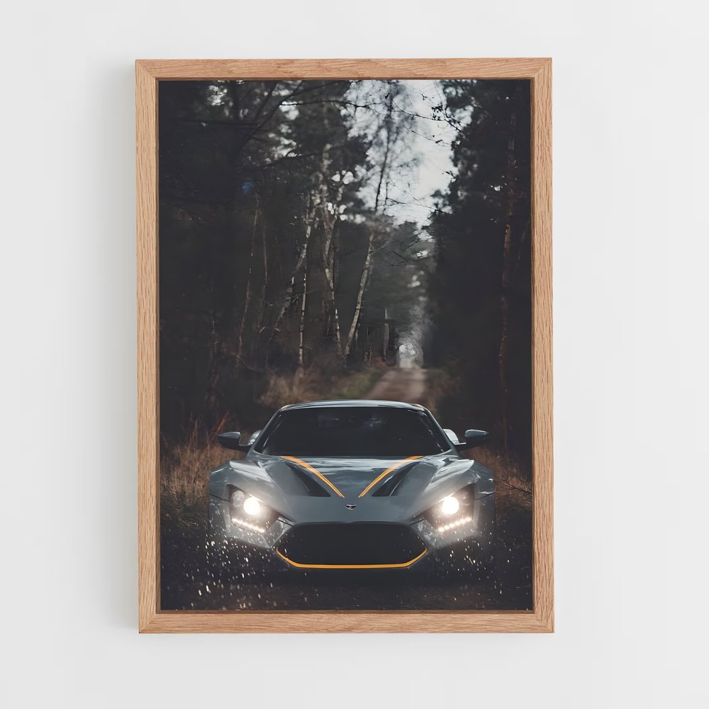 ap-zenvo-9 cadre Bois clair
