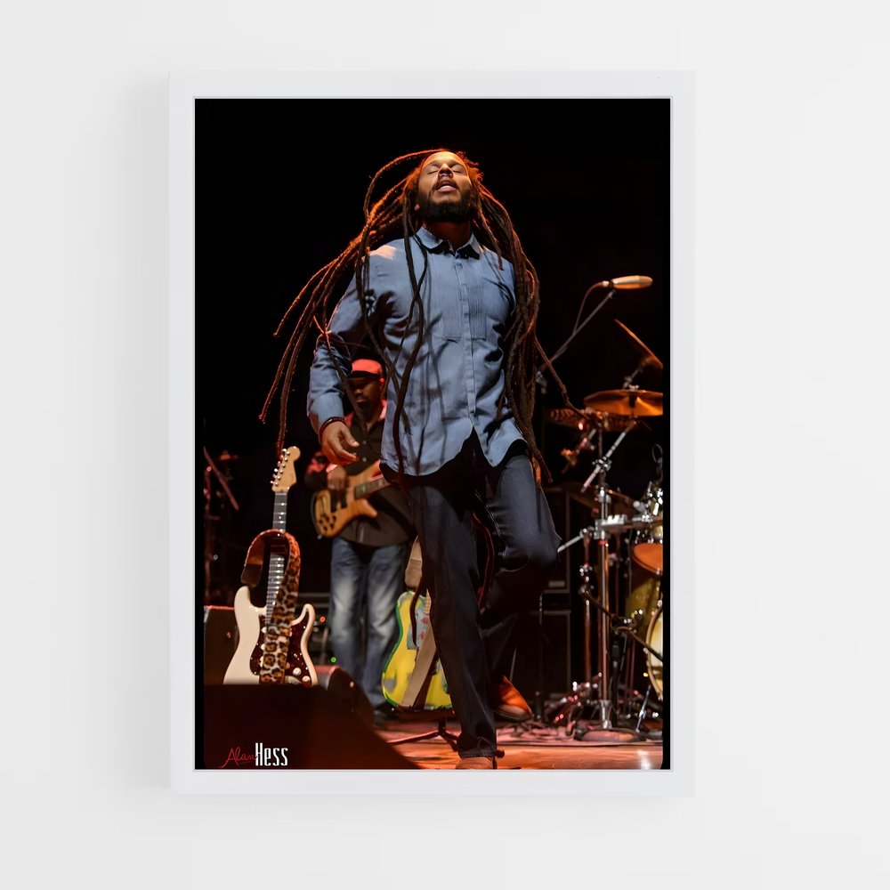 ap-ziggy marley-5 cadre Blanc