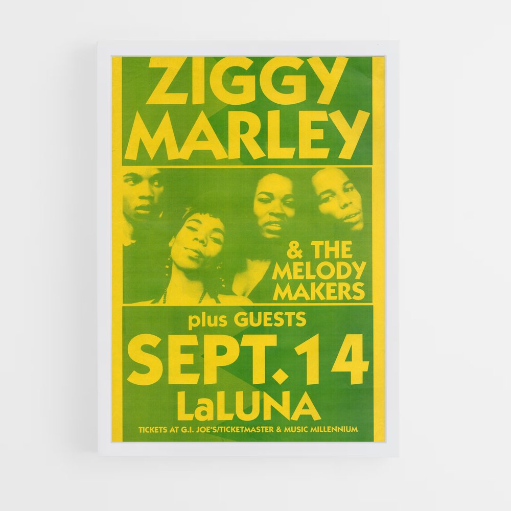 ap-ziggy marley-9 cadre Blanc