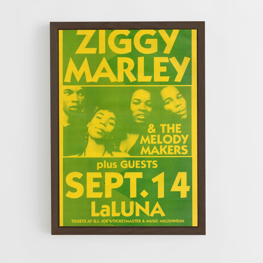 ap-ziggy marley-9 cadre Bois foncé