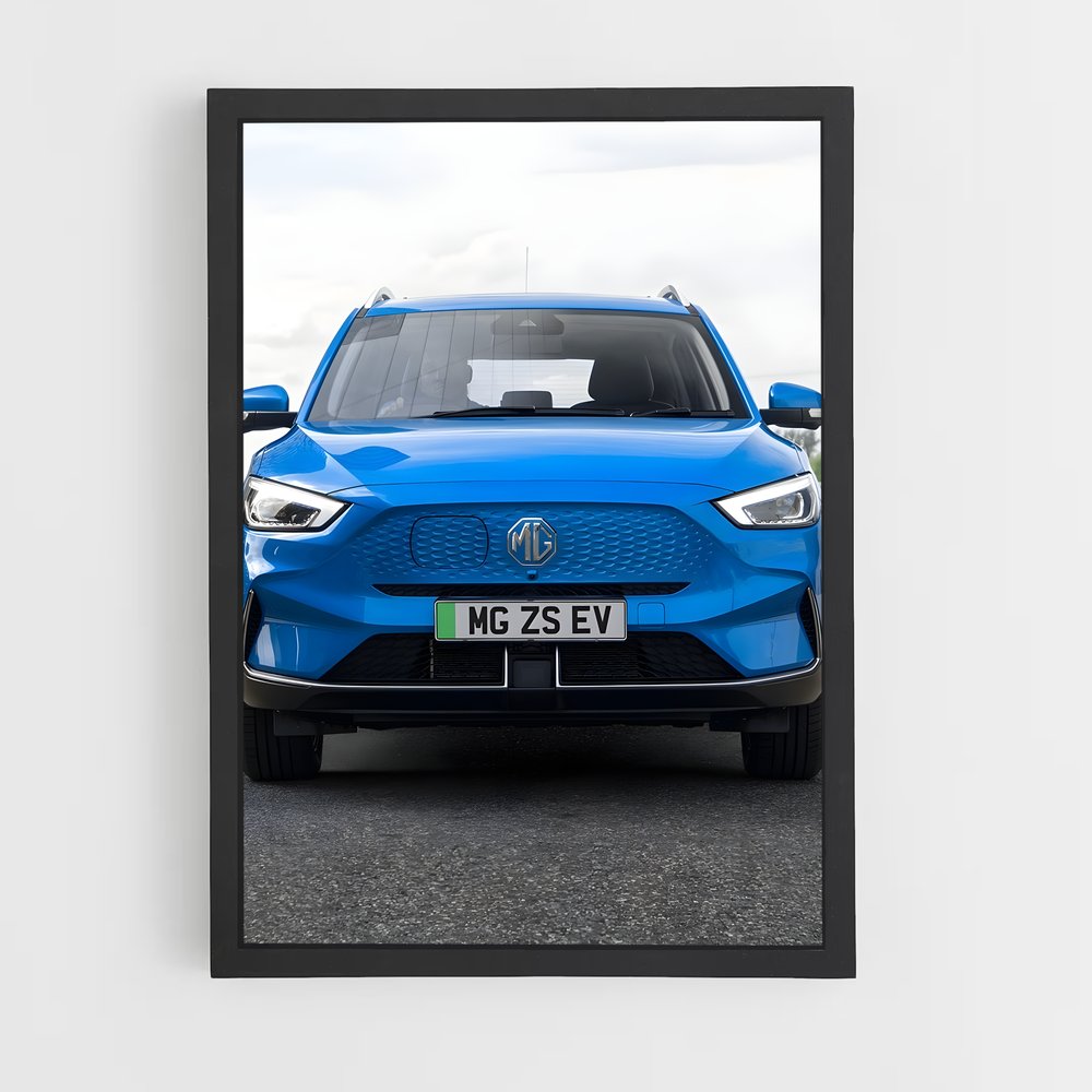 ap-zs ev-2 cadre Noir
