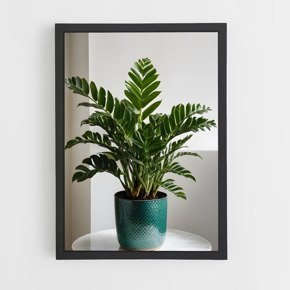 ap-zz plant-1 cadre Noir