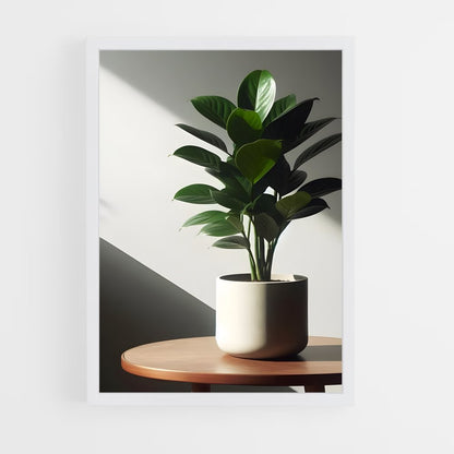 ap-zz plant-2 cadre Blanc