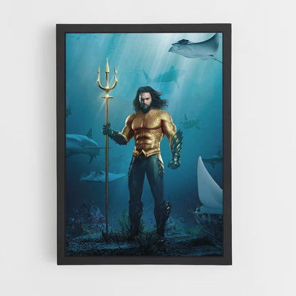 Poster Aquaman Costume