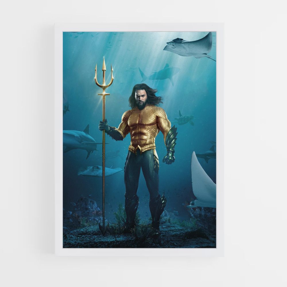 Poster Aquaman Costume