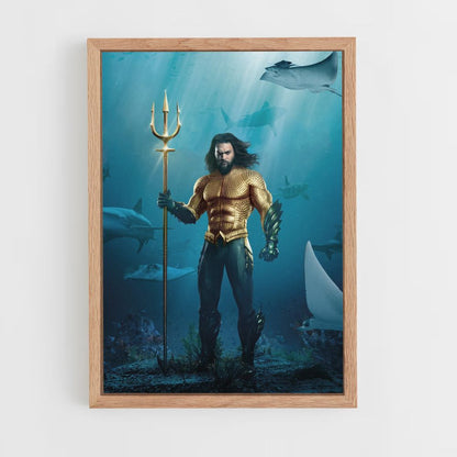 Poster Aquaman Costume