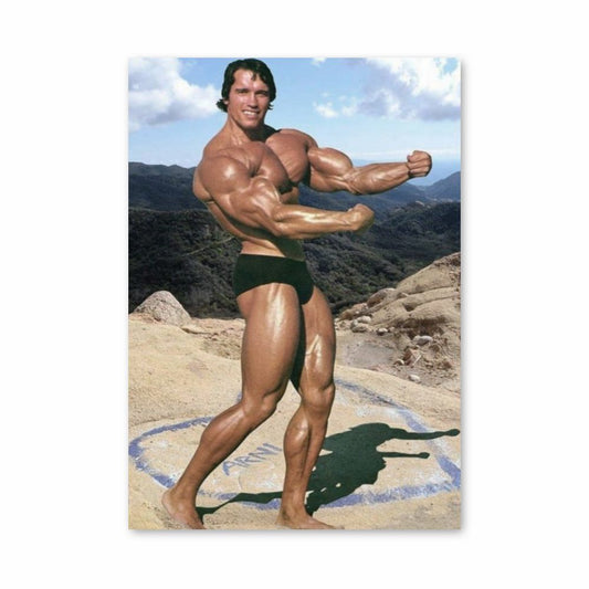 Poster Arnold Schwarzenegger