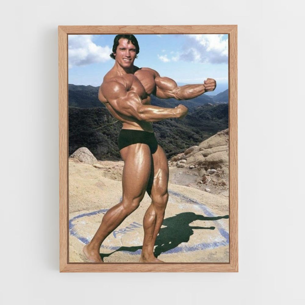 Poster Arnold Schwarzenegger