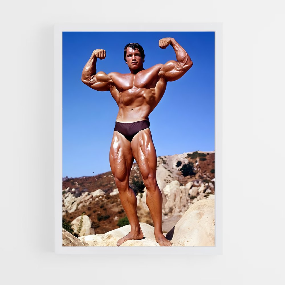 arnold-2 cadre Blanc