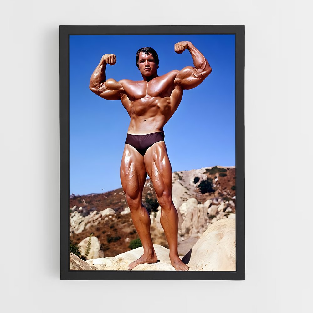 arnold-2 cadre Noir