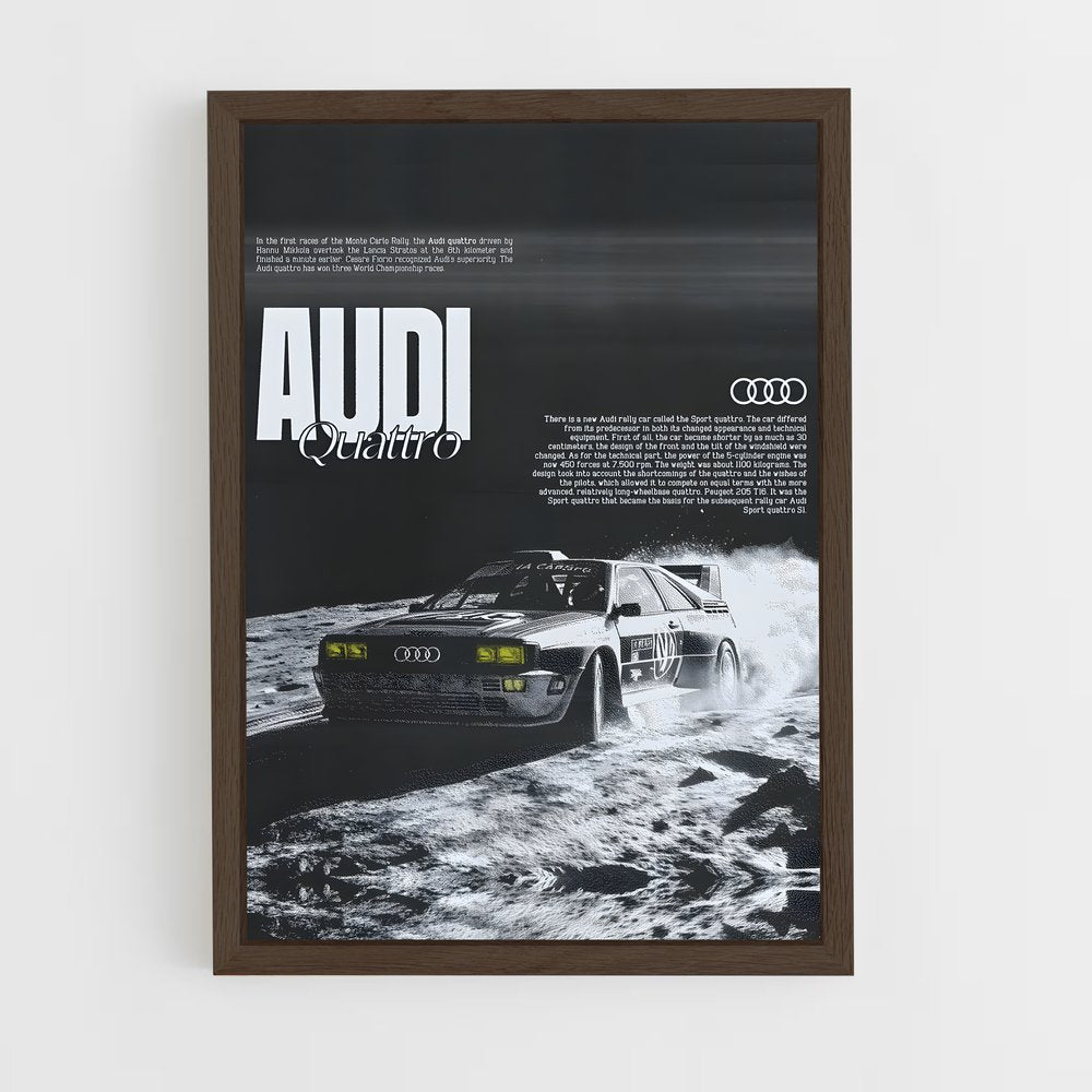 audi-13 cadre Bois foncé