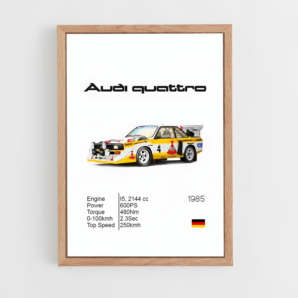 audi-6 cadre Bois clair
