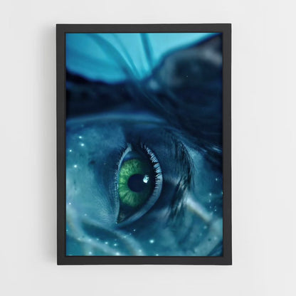 Poster Oeil Navi