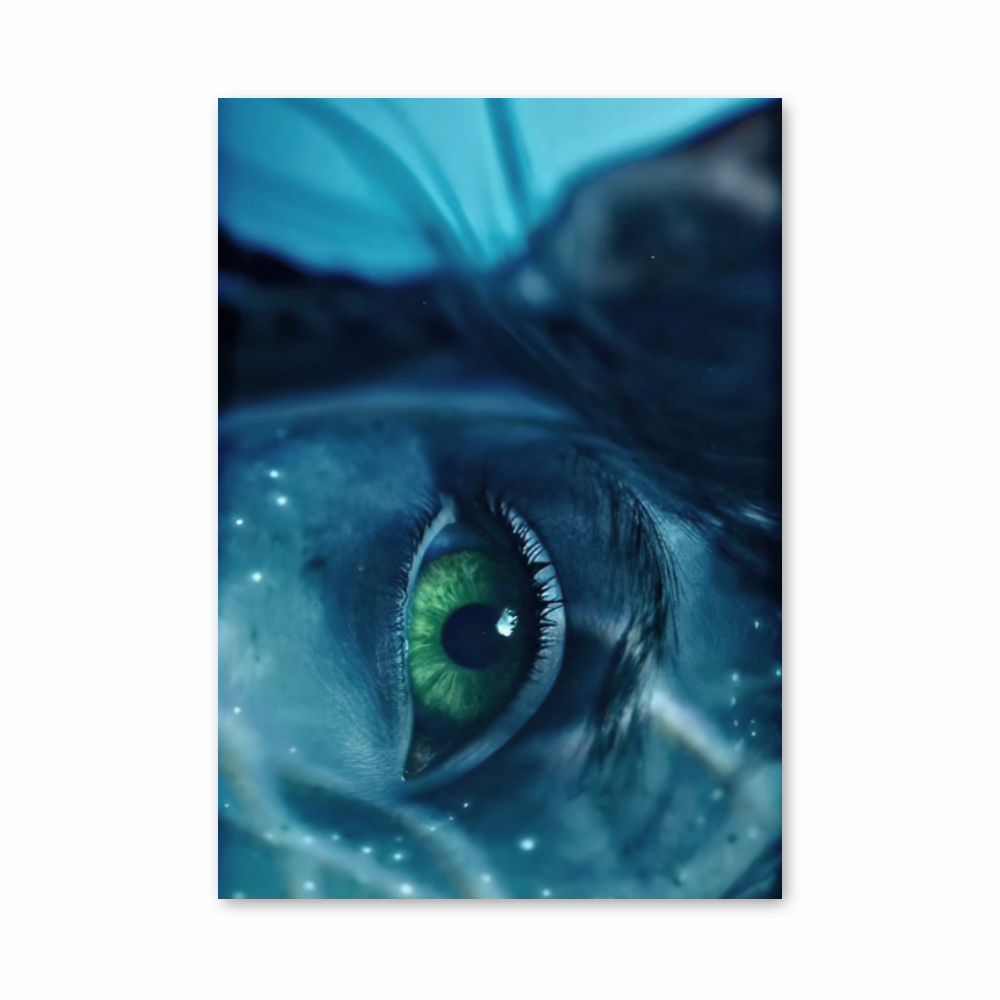 Poster Oeil Navi