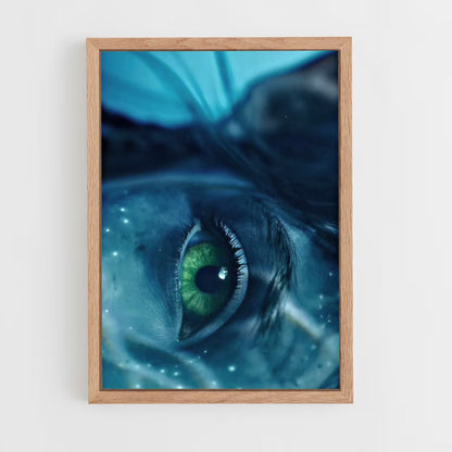 Poster Oeil Navi