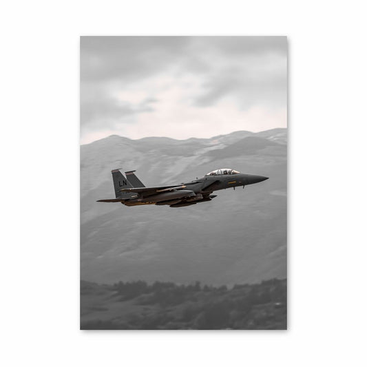 Poster Avion de Chasse Nature