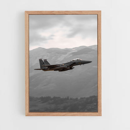 Poster Avion de Chasse Nature