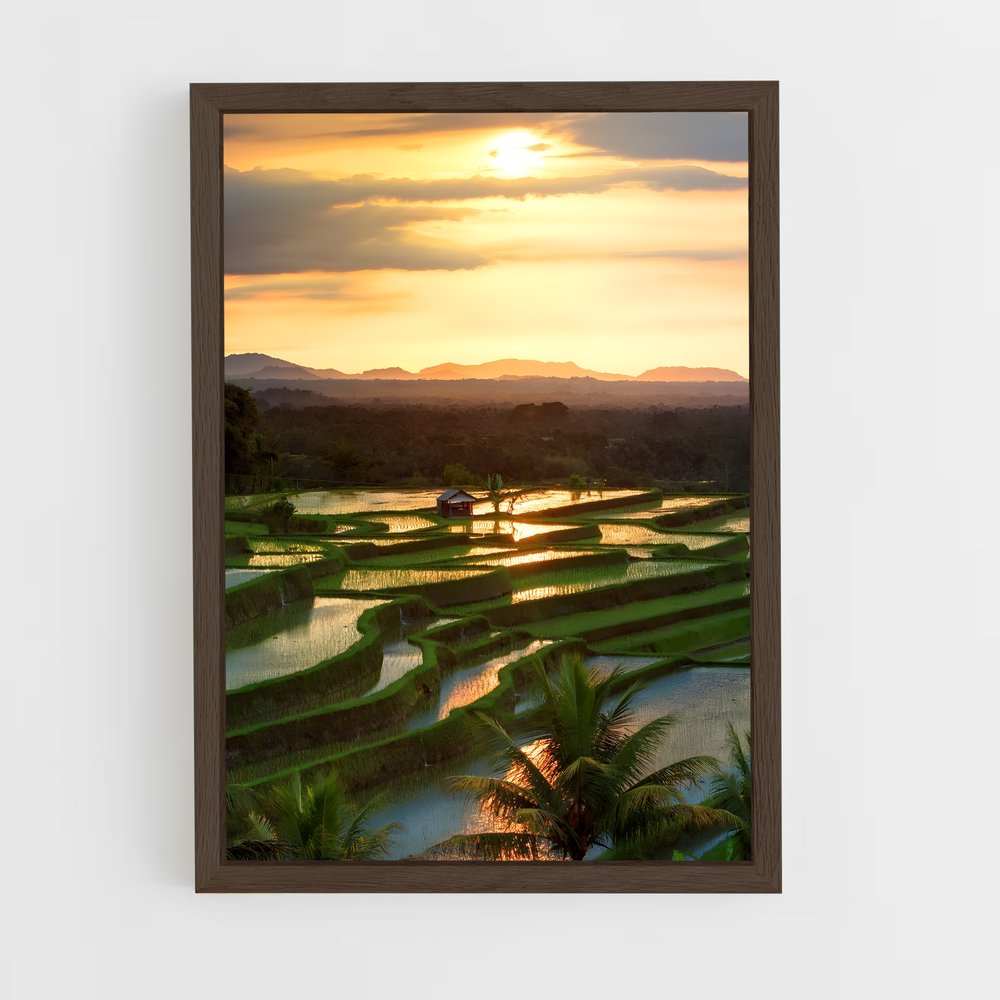 bali-6 cadre Bois foncé
