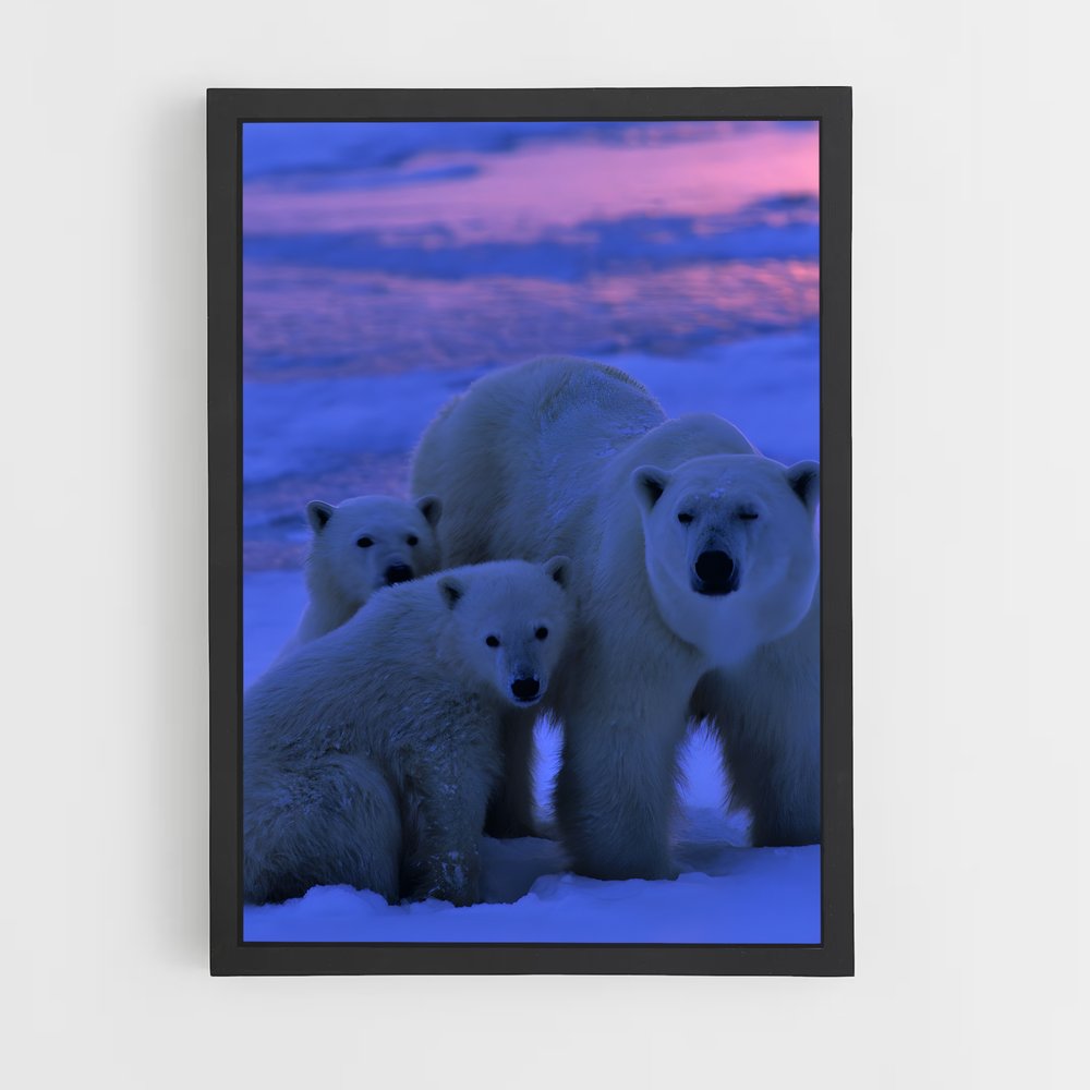 bear-1 cadre Noir