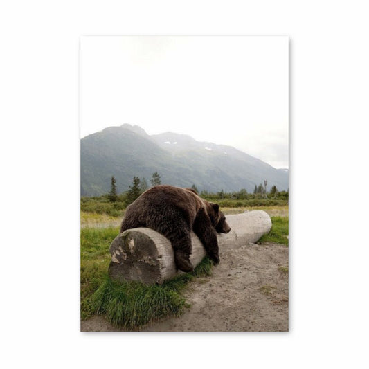 Poster Ours Grizzly