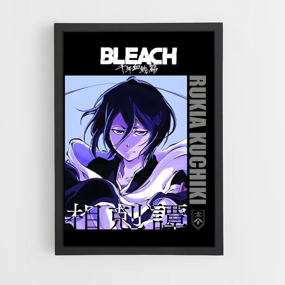 bleach-12 cadre Noir